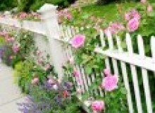 Kwikfynd Garden fencing
reynella